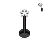 3 mm Star CZ Prong Set Gold Black Labret Monroe Daith Tragus Helix Stud