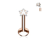 3 mm Star CZ Prong Set Gold Black Labret Monroe Daith Tragus Helix Stud