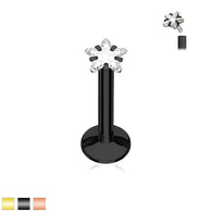 3 mm Star CZ Prong Set Gold Black Labret Monroe Daith Tragus Helix Stud