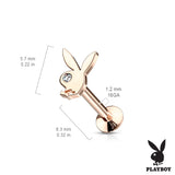 Official License Playboy Buny CZ Eye Top Labret Monroe Ear Cartilage Studs