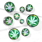 Pair Pot Leaf Hologram Screw Fit Flesh Tunnels Ear Plugs