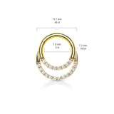 Precision CNC Lined CZ Set All Surgical Steel Hinged Segment Hoop Ring