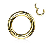 Titanium Large Gauge Hinged Segment Ring For Septum Lip Nose Daith