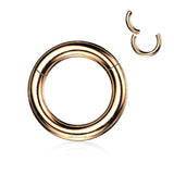 Titanium Large Gauge Hinged Segment Ring For Septum Lip Nose Daith