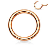 16G Titanium Plated Hinged Segment Hoop Rings