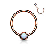 16G Surgical Steel Opal Hinged Segment Hoop Rings Tragus Cartilage