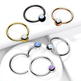 18G All Surgical Steel Opal Ball Hinged Segment Hoop Rings Tragus Ear Cartilage