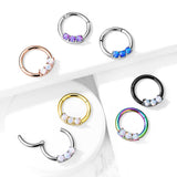 Precision 3 OPal Set All Surgical Steel Hinged Segment Hoop Rings