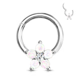 Opal Glitter Flower Hinge Hoop Segment Ring Ear Cartilage Nose Septum Tragus Rings