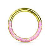 Precision Opal Set Front All Surgical Steel Hinged Segment Hoop Ring Ear Cartilage