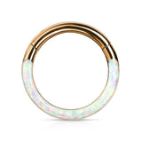 Precision Opal Set Front All Surgical Steel Hinged Segment Hoop Ring Ear Cartilage