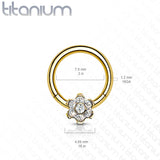 Titanium Hinged Segment Hoop Ring CZ Petal For Nose Septum Cartilage