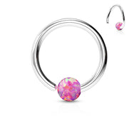 316L Surgical Steel Opal Ball Fixed On End Hoop Captive Rings Tragus Helix 16G