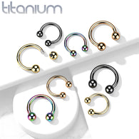 PVD Over Solid Titanium Circular Barbell Horseshoe