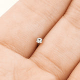 Prong Set 2 mm CZ Titanium Fishtail Nose Bone Stud Ring